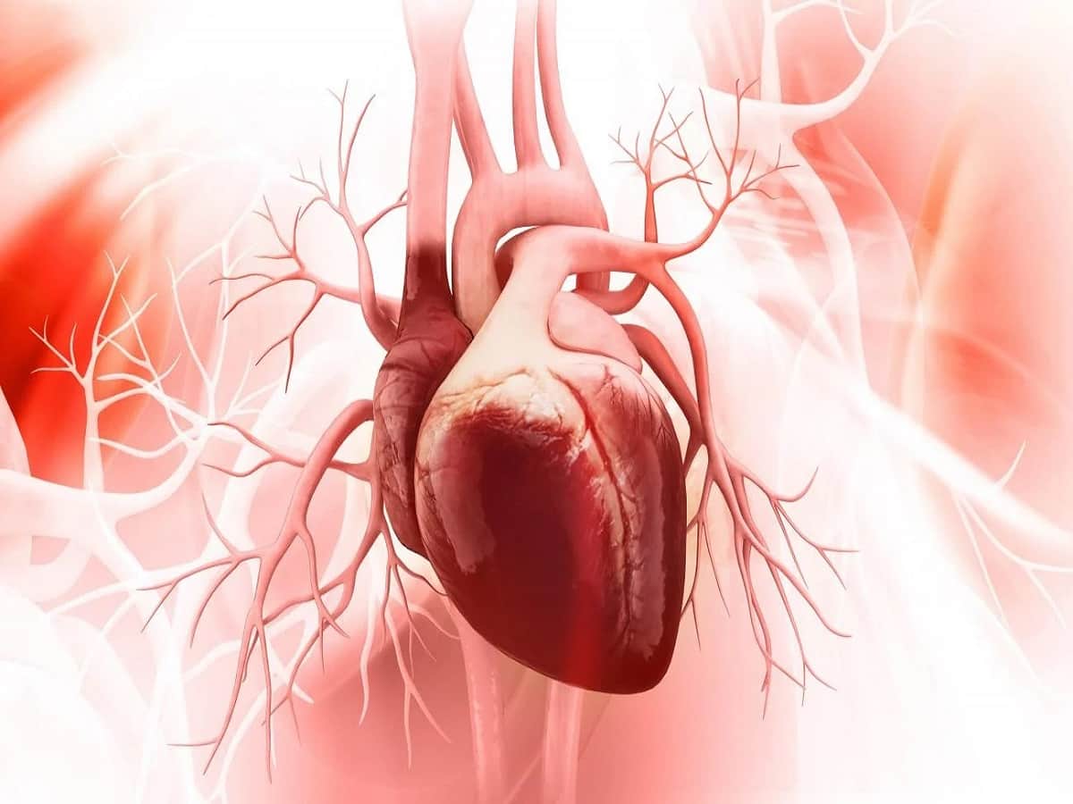 World Heart Day 2022: Homocysteine Levels And Their Role In Heart Health